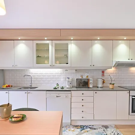 White Stripes House Of Music *