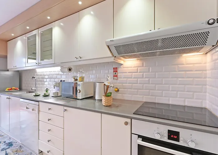 White Stripes House Of Music