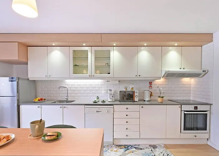 White Stripes House Of Music *