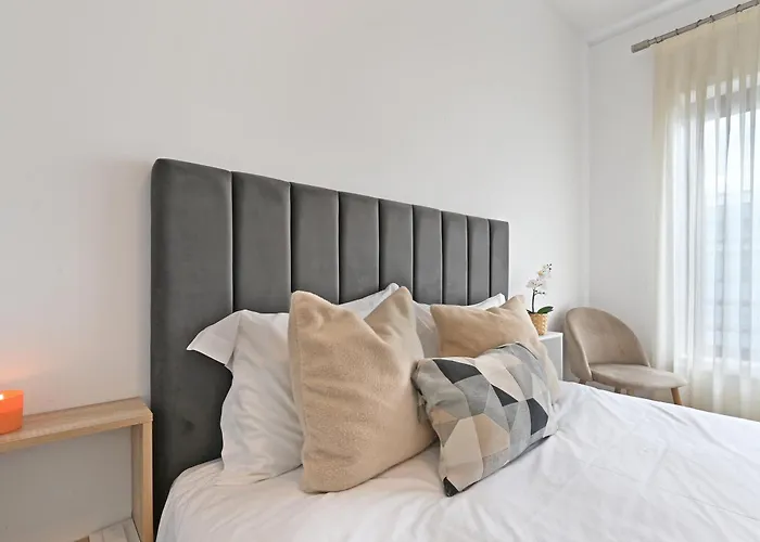 White Stripes House Of Music